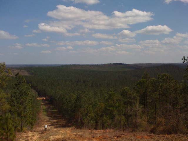 Pipeline Industry Services